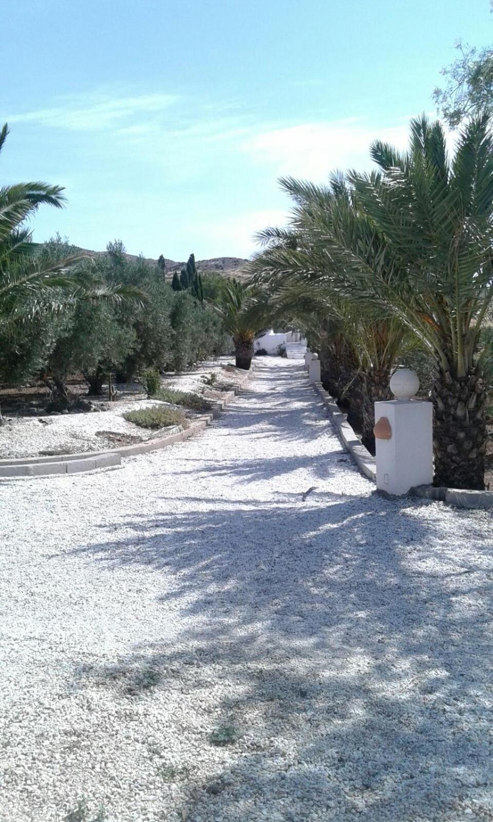 Casas Rurales Cortijo Torreblanca Parque Cabo De Gata El Pozo de los Frailes Eksteriør billede