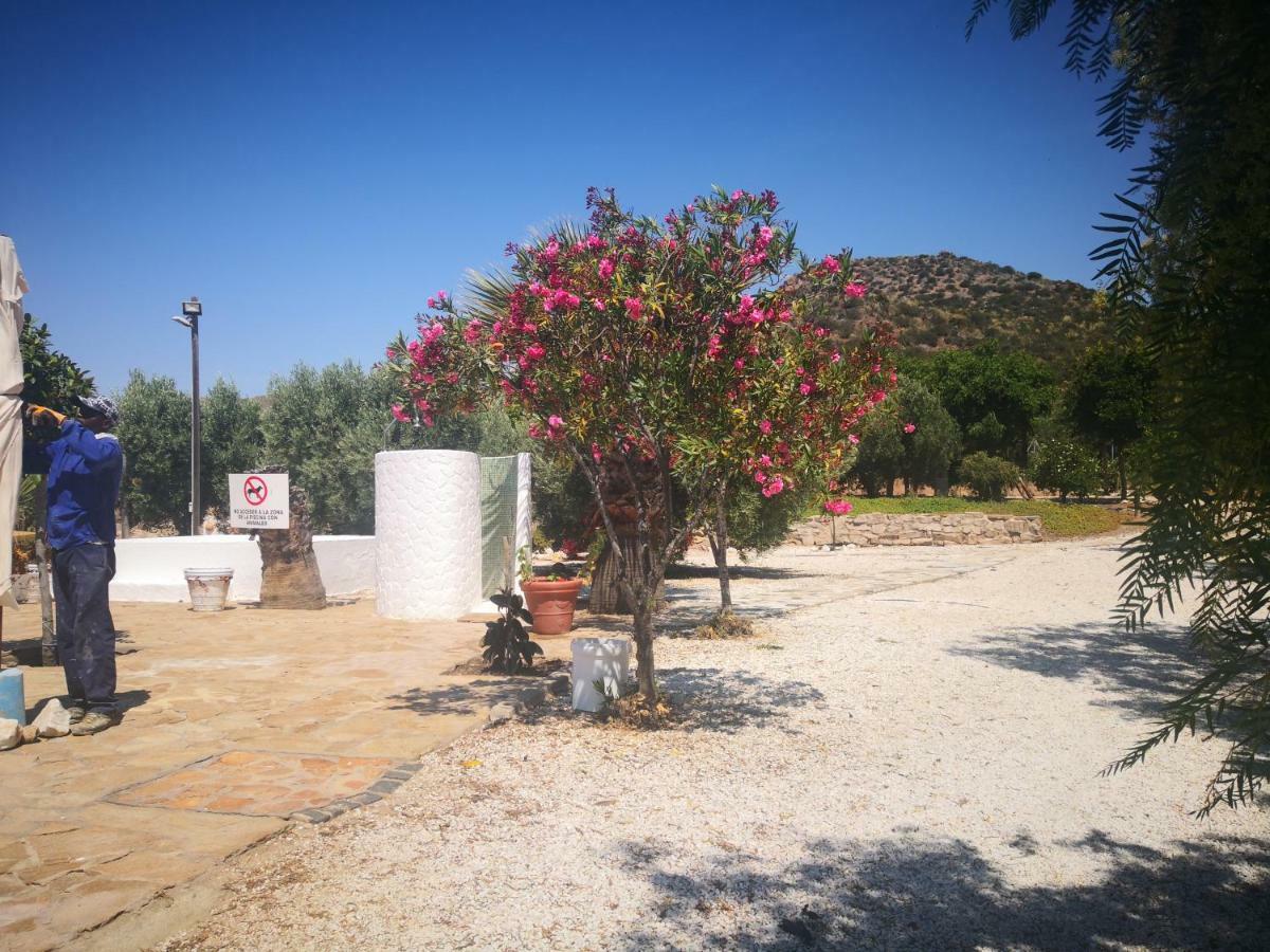 Casas Rurales Cortijo Torreblanca Parque Cabo De Gata El Pozo de los Frailes Eksteriør billede