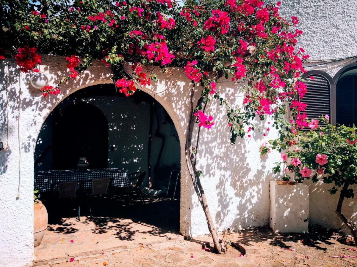 Casas Rurales Cortijo Torreblanca Parque Cabo De Gata El Pozo de los Frailes Eksteriør billede